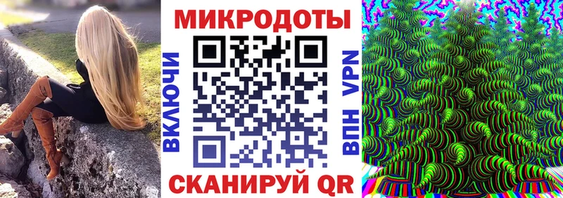 где продают наркотики  Камызяк  Галлюциногенные грибы Psilocybine cubensis 